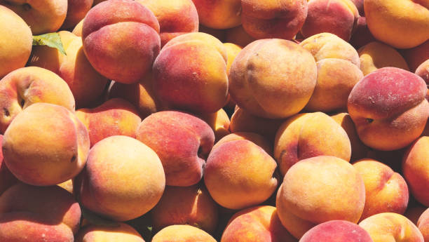 Fresh peaches beautiful fruit background delicious
