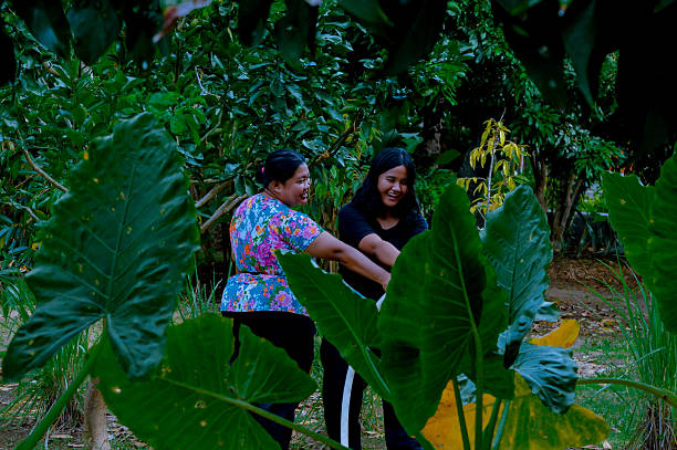 istock Two Women Interacting in a Lush Green Garden Setting 2202607235