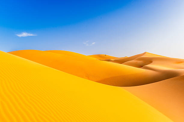 istock Amazing sand dunes in Liwa desert 2202613035