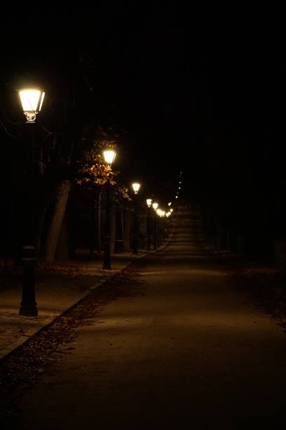 istock Illuminated street and reflections in El Retiro Park at night 2202617217