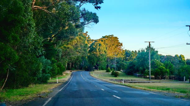 istock Tranquil Country Road at Sunrise 2202620140