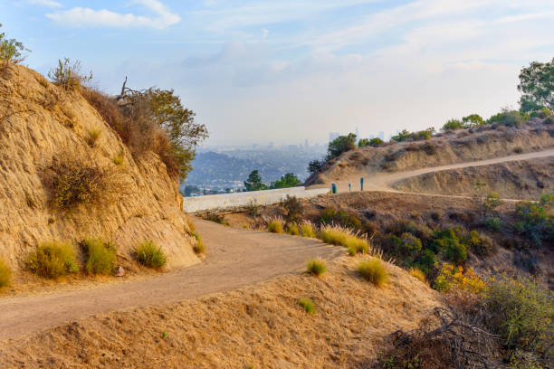 istock Scenic Hiking Path in Griffith Park with City View 2202622729