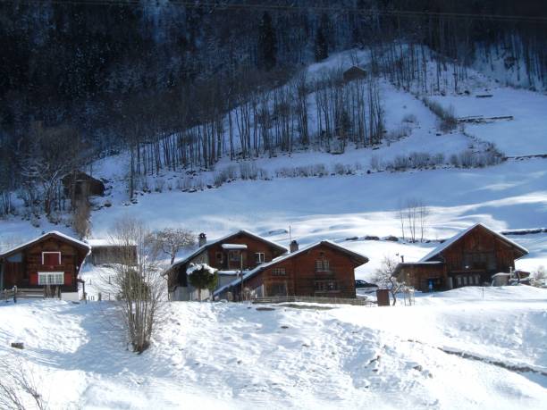 istock Snow landscape in Switzerland. 2202632750