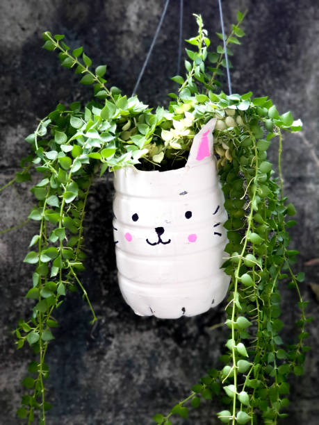 istock plant pots made from reused water bottles 2202632989