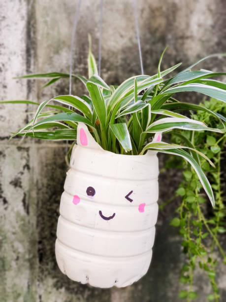 istock plant pots made from reused water bottles 2202633021