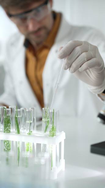 istock Man scientist wearing a lab coat, white gloves and protective glasses, is dripping liquid from a pipette into a test tube with a green plant inside, vertical close up view. Science and medicine 2202633433