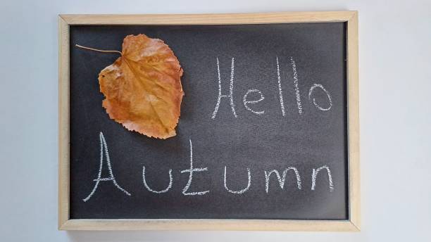 istock Hello autumn word and autumn leaf written with white chalk. 2202637021