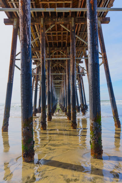 istock Under Oceanside Pier: Scenic Perspective with Textured Pillars 2202637434