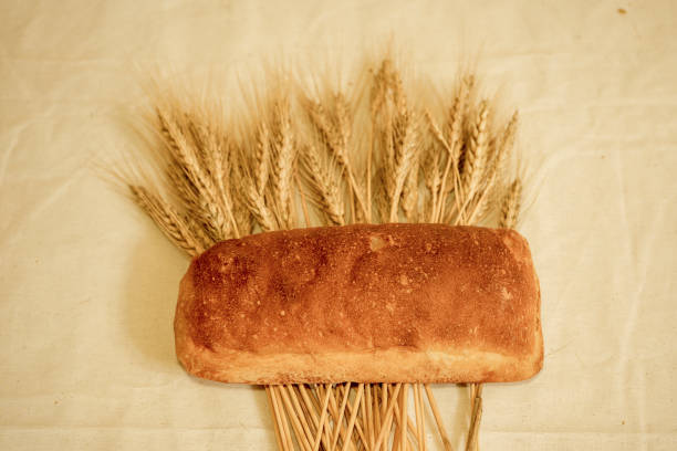Bread and wheat ears, still life