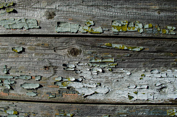 This close-up reveals a weathered wooden surface characterized by peeling paint, mossy patches, and textures that reflect years of exposure to elements. Copy space