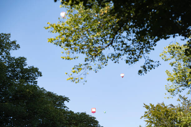 Colorful hot air balloons soaring high in a clear blue sky, framed by lush green tree branches. This dreamy summer scene captures the beauty of outdoor adventures, travel, and leisure activities. Perfect for themes related to exploration, tourism, freedom, and nature.