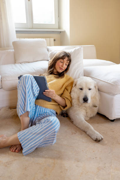 istock Cozy Morning with a Loyal Companion 2202645893