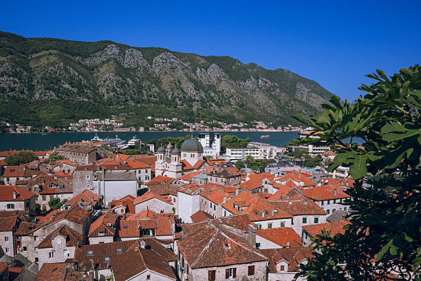 Panoramic view to Kotor old town with old architecture in the foreground and water and mountain in the background, Montenegro