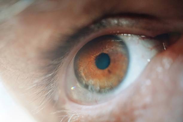 istock man eye looking at camera, brown eye 2202649838