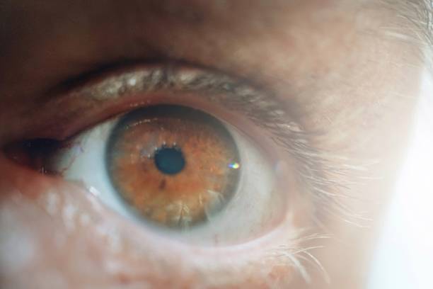 istock man eye looking at camera, brown eye 2202649839