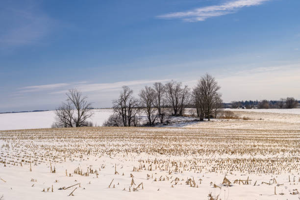istock Snow covered rolling farmland and trees in Ontario, Canada 2202658820