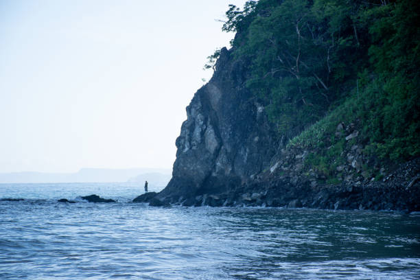 Landscape with the sea and trees growing on the high ground.