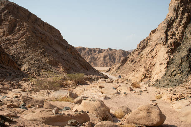 istock Exploring the Nabq Nature Reserve in Sharma El-Sheikh, Egypt. 2202660041
