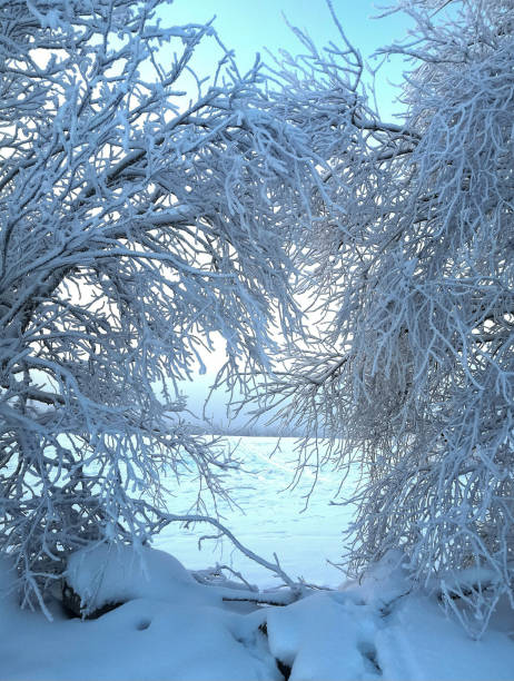 A snowy landscape in Finland