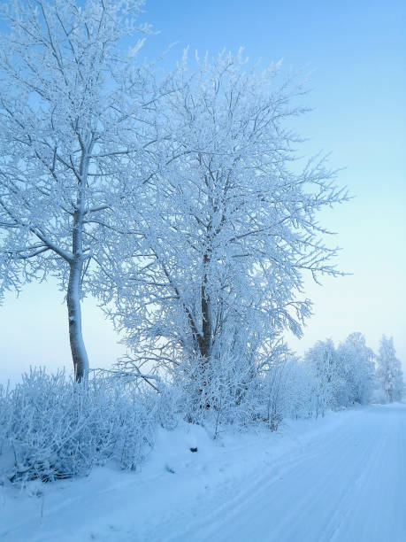 A beautiful winter day in Finland features crisp air, clear skies, and pristine snow, inviting activities like skiing.