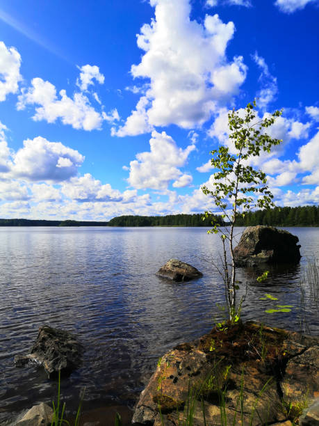 A peaceful summer day by a Finnish lakeside, with clear skies, vibrant nature, and serene waters reflecting the landscape.