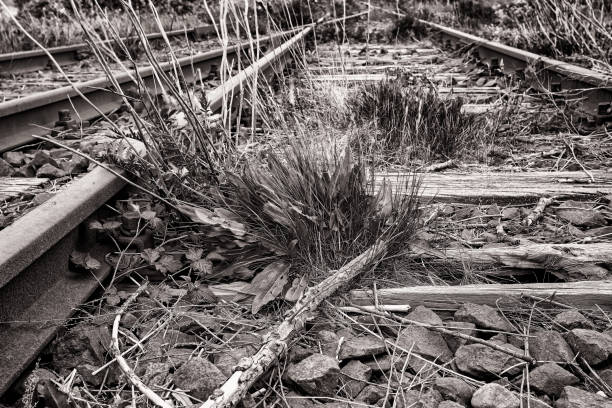 istock lonely disused railway line 2202665399