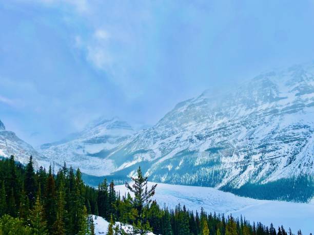 istock Winter Wonderland in Banff: Snow-Covered Peaks 2202666634