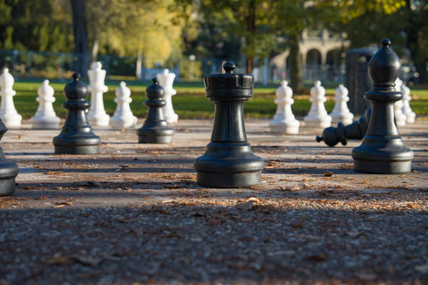 Chess pieces close-up against the background of an autumn landscape.
