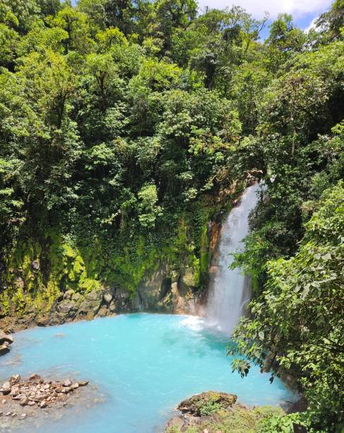 istock Turquoise Pool and Waterfall in Rainforest 2202668198
