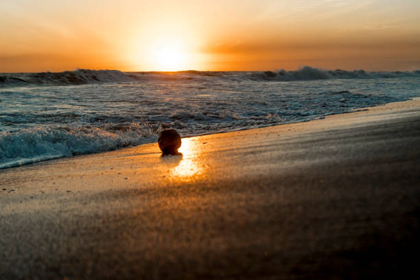 istock Spectacular sunset at sea with waves and radiant sun 2202676410