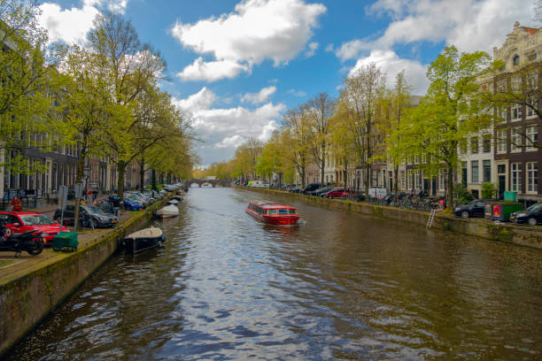 A classic canal tour boat glides through the historic waterways of Amsterdam, Netherlands, surrounded by vibrant spring foliage and traditional Dutch architecture. The scenic view captures the charm of the city's canals, lined with bicycles, parked cars, and picturesque bridges in the distance under a partly cloudy sky. A quintessential Amsterdam experience