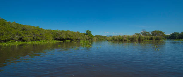 istock Nice photo of water canal 2202678059