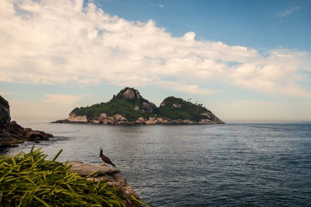 Ilha Pontuda as viewed from Ilha Alfavaca on a beautiful summer morning. A brown booby is in the rock on the forefront and another flies in the sky.
