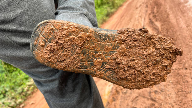 The shoes are caked in thick, sticky mud, with patches of dirt still clinging to the soles. Each step leaves a trail of marks, a reminder of the muddy path walked through after the rain.
