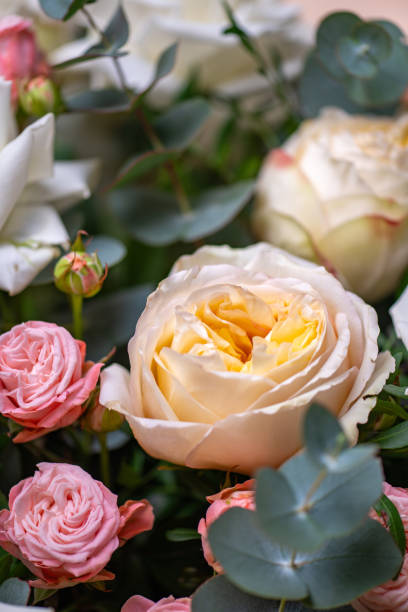 istock Delicate white and pink roses close up 2202679293