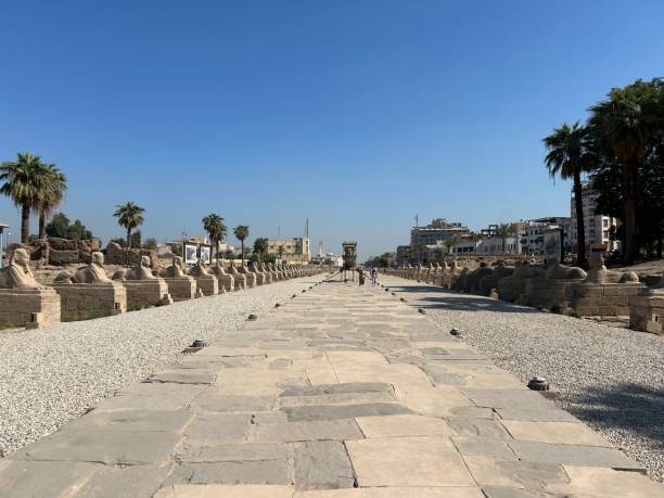 istock Avenue of Sphinxes 2202682206