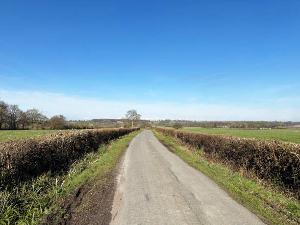 istock Remote country lane on a sunny day 2202682895