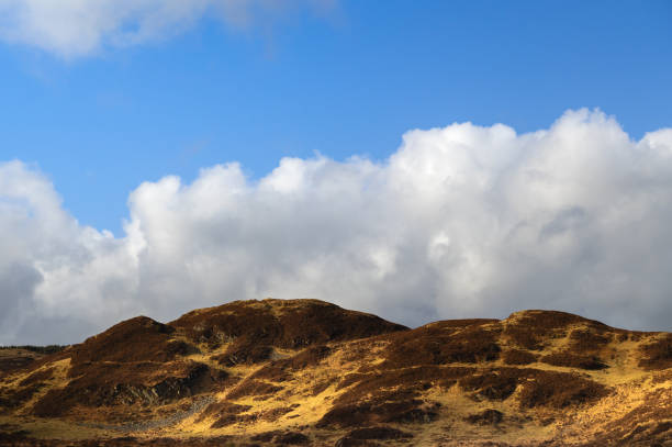 Uncultivated rural location in Scotland on a winter day