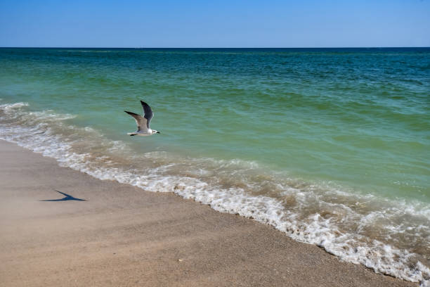 October Walk on the Beach at Alabama Point, Orange Beach, Alabama