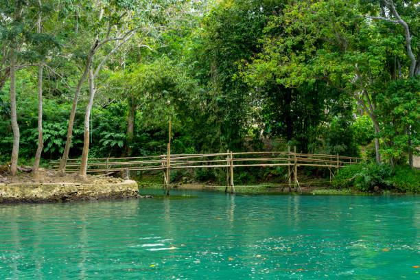 Loboc River in the Chocolate Hills in Bohol.  These are limestone mounds formed by erosion and are a major tourist attraction. Stray dogs are everywhere in the Philippines. The river has a thriving trade in restaurant boats.