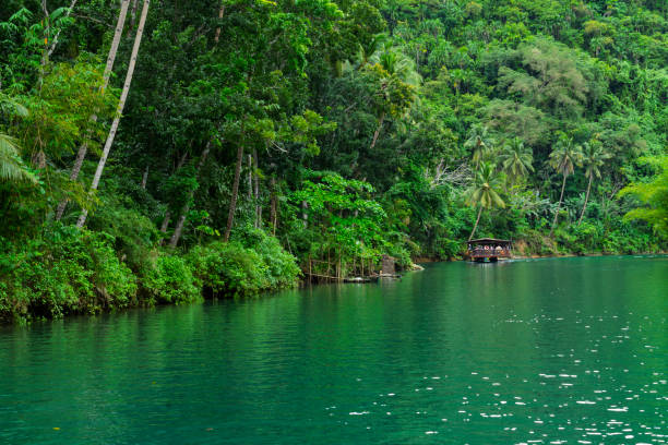 Loboc River in the Chocolate Hills in Bohol.  These are limestone mounds formed by erosion and are a major tourist attraction. Stray dogs are everywhere in the Philippines. The river has a thriving trade in restaurant boats.
