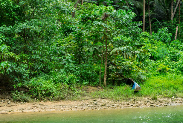 Loboc River in the Chocolate Hills in Bohol.  These are limestone mounds formed by erosion and are a major tourist attraction. Stray dogs are everywhere in the Philippines. The river has a thriving trade in restaurant boats.