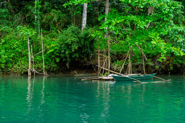 Loboc River in the Chocolate Hills in Bohol.  These are limestone mounds formed by erosion and are a major tourist attraction. Stray dogs are everywhere in the Philippines. The river has a thriving trade in restaurant boats.