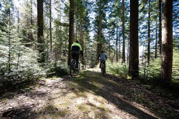 istock Two cyclists on a trail through a sun-dappled forest.  Enjoy the peaceful ride. 2202689046