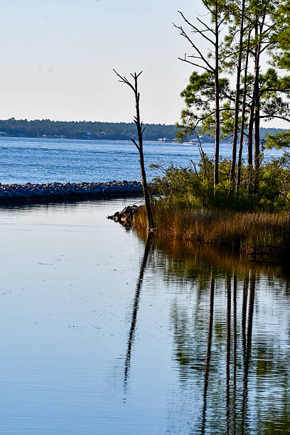 istock Winter Boating in Orange Beach, Alabama 2202689181