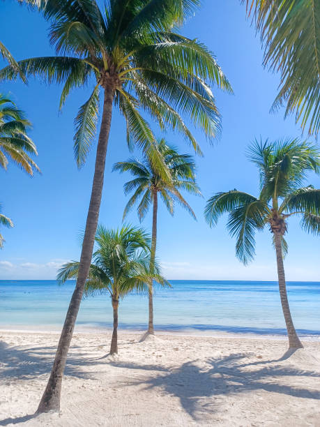 istock Playa del Car beach view 2202690474
