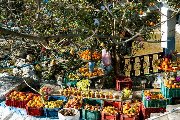 A vibrant market stall in Morocco showcasing a variety of fresh fruits and juices. The display features oranges, pineapples, and other fruits on vivid crates under a leafy overhang.
