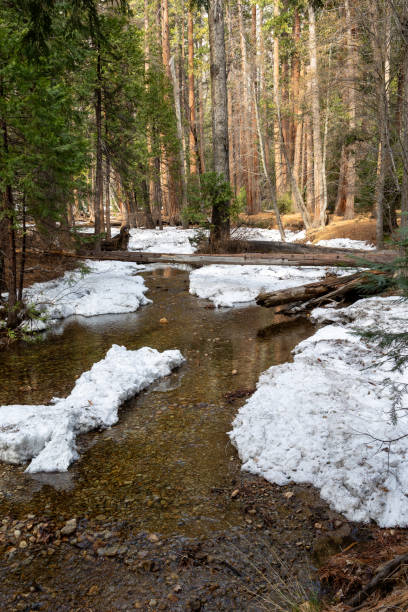 istock Snow in a creek flowing through the woods 2202698987