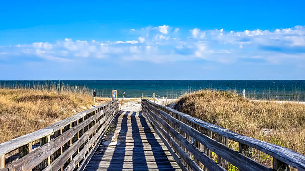 istock Walk on the Beach in January 2202699033