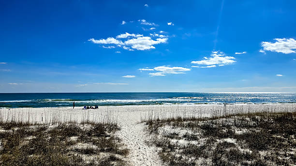 istock Orange Beach, Alabama in February 2202699164